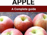 Jazz Apple 101: Nutrition, Benefits, How To Use, Buy, Store | Jazz Apple: a Complete Guide