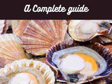 Scallops 101: Nutrition, Benefits, How To Use, Buy, Store a Complete Guide