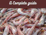 Shrimp 101: Nutrition, Benefits, How To Use, Buy, Store a Complete Guide