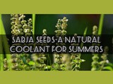 Sabja seeds-a natural coolant for Summers