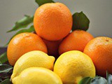 Photography – Citrus (Orange and Lemons)