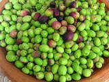 Moroccan Meslalla olives