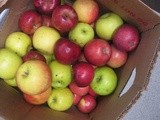 Happy ‘Baby Apple Crisp