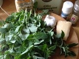 Oregano Pesto