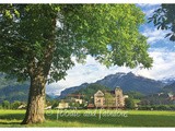 Eating in Switzerland (Other than Chocolate)