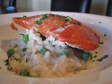 Wild Salmon