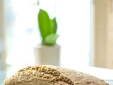No Knead Whole Wheat Bread (4 ingredients only!)