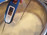 Best Kitchen Tool: Thermometer {giveaway}
