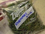 Freezing Rosemary & Other Herbs