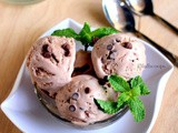 Mint Chocolate Ice Cream
