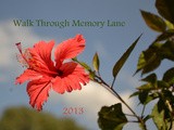 Walk Through Memory Lane- May host and April Winner