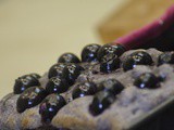 Blueberry Loaf fortified with Aronia [Chokeberries]