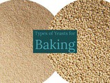 Types of Yeast for Bread Making