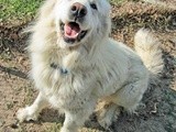 Casper