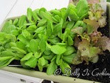 Farmgirl Friday Blog Hop #152