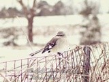 The Simple Beauty That Surrounds Us
