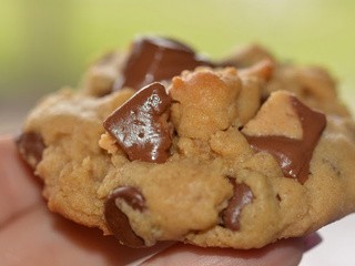 Over the top reese's peanut butter cup cookies