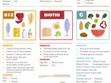 Vitamin Rich Foods Infographic - Something for the Weekend