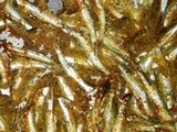 Sardelle, sardine, sardoncini al forno
