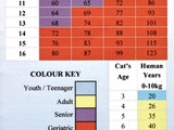 Senior Pet Tips with Pet Age Chart for Cats and Dogs