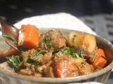 Beef Stew a Happy Dog and a little Joie de Vivre