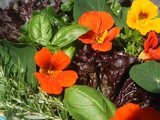 Flower and Herb Salad from the Garden
