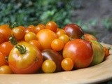 Lunch from the Garden. Tomato Basil Panzanella Salad