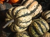 This morning at the Farmer's Market