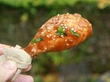 What Katie Ate by Katie Quinn Davies and her Delicious Sticky Chicken with Sesame and Chile