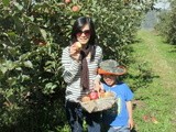苹果园游记 Picking Apples at Pine Crest Orchard