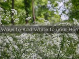 8 Ways to add white to your home