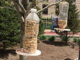 Plastic Bottle Bird Feeder (Recycled Bird Feeder)