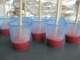 Patriotic Pudding Pops