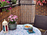 My Summer Balcony & a Recipe for Shrimps in Butter Garlic Sauce