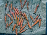 Roasted Carrots, Beetroot Juice