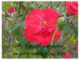 10 consigli per gestire in poco tempo il tuo blog