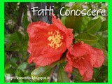 11 edizione Fatti Conoscere su Kreattiva