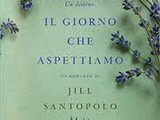 Il Giorno che aspettiamo, Jill Santopolo- Libri consigliati per l'estate 2017