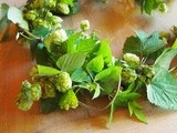 Rambling Autumn Hops, Kent, Stuff on Toast and Perfect Poached Eggs
