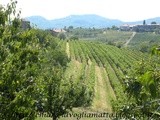 La Toscana slovena si chiama Brda