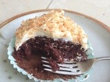 Chocolate and Toasted Coconut Cupcakes
