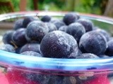 Damsons: or what have the romans ever done for us