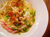 Vietnamese chicken noodle soup (pho)