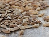 Spotlight: Toasted Pumpkin Seeds (Libb Abyad), a Favorite Egyptian Snack