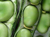 Fava Beans And Rice-فول اخضر بالرز