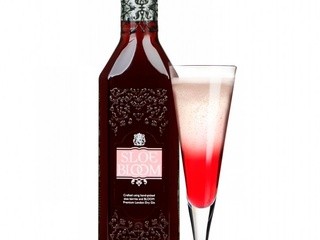 Christmas Cocktails – Sloe Gin Recipes