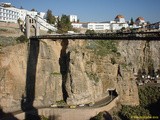 Some pictures