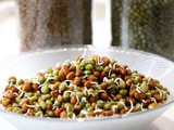 How to sprout beans, legumes, nuts, seeds and grains