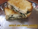 Cheese and spinach sandwich