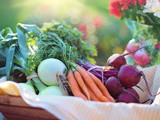Практикум: как и къде се съхраняват плодовете и зеленчуците, и защо е важно